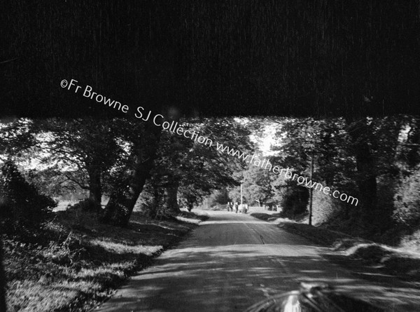 THROUGH WINDSCREEN TREE LINED ROAD